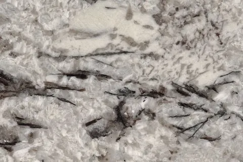 Delicatus White